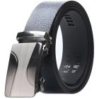 Silber / Typ2